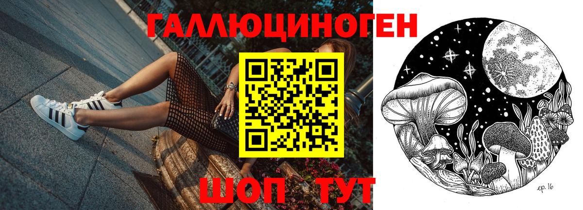 цена   Вход с VPN  Ржев  Галлюциногенные грибы прущие грибы 