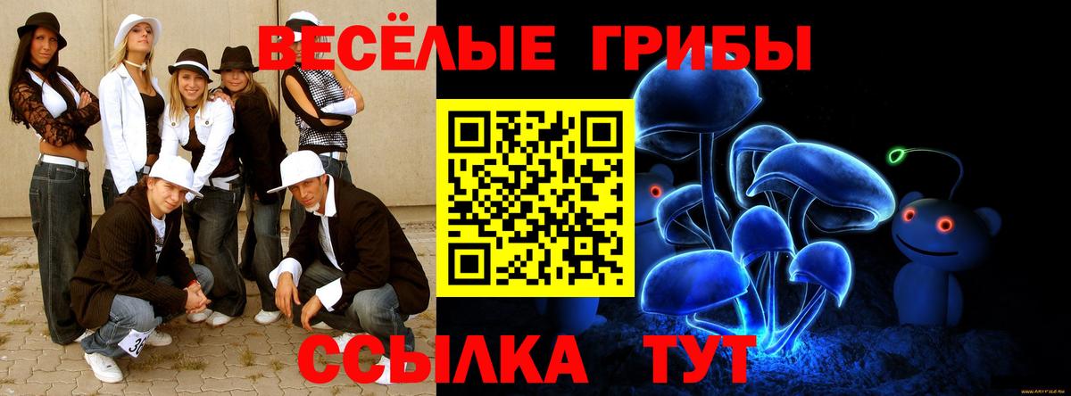 Псилоцибиновые грибы Psilocybe Ржев
